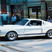1967 Shelby GT 500 Mustang