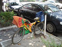 Vélo tapis / Carpet bike / Bicicleta y alfombera.