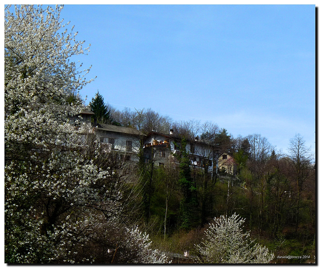 Old houses in Spring -Vecchie case in primavera