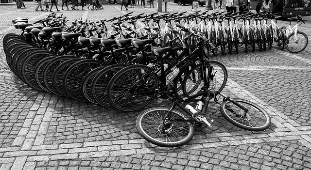 bikes in a row