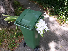 Flower-eating bin