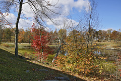 A Corner of Lake Marcia – High Point State Park, Sussex County, New Jersey