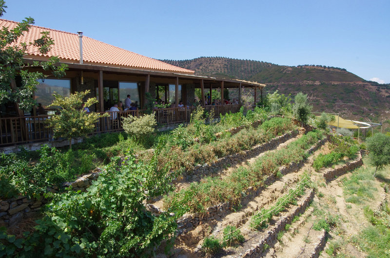restaurant and terraced garden