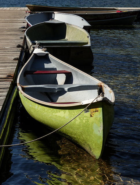 Sunny reflections