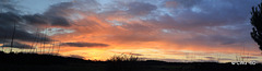 Winter early evening panoramic views from the Sunset Chair...I never tire of our winter dusks here - there is an absolutely glorious show almost every single evening.