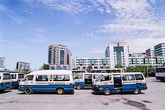 Blue striped busses