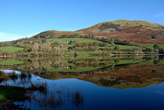 Loweswater calm