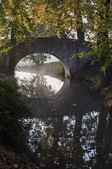 A Bridge in the Park