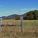 Fence and Foothills