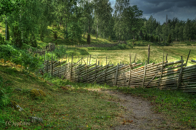 The Fence of Stensjö By