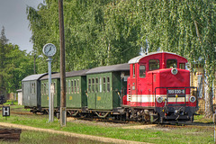 199 030-8 mit einem Personenzug im Bahnhof Mügeln