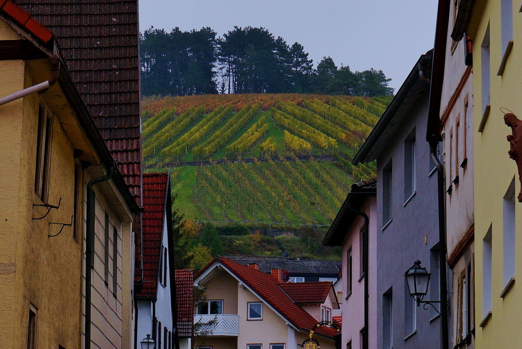 Weindorf - Wine Village
