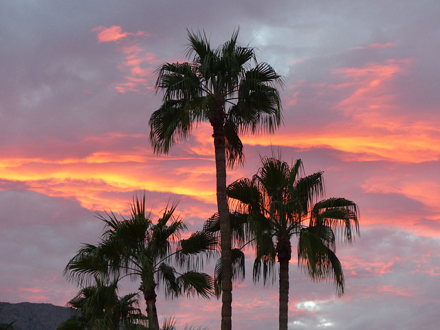 Palm Springs Sunset (3) - 30 October 2014