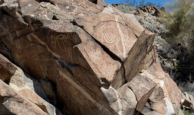 Corn Springs CA petroglyphs (0576)