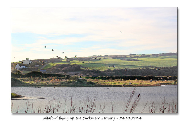 Wildfowl flying up Cuckmere Haven - 24.11.2014
