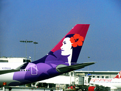 Hawaiian Airlines Jet Tail