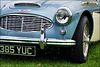 1958 Austin-Healey 100 - 385 YUC