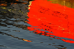 Red reflection