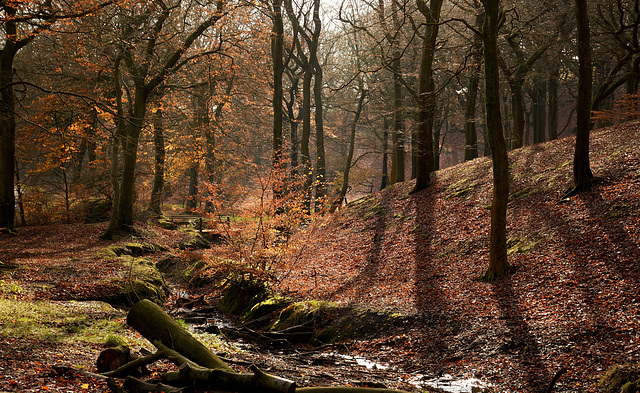 An Autumn in Tandle Hills