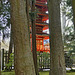 The Pagoda in the Woods – Japanese Tea Garden, Golden Gate Park, San Francisco, California