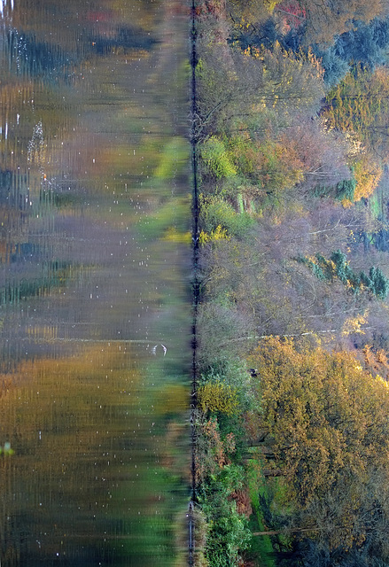 Autumn reflection X-Pro1 60mm 2