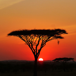 Tanzania. Serengeti sunset. 201208