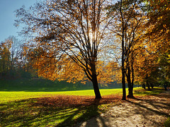Herbst in München