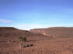 stone desert, Souss-Massa-Draâ, Marokko