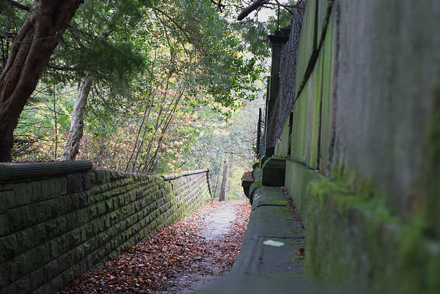 The Walled path - Glossop Hall