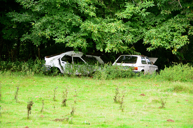 Laudonie 2014 – French cars