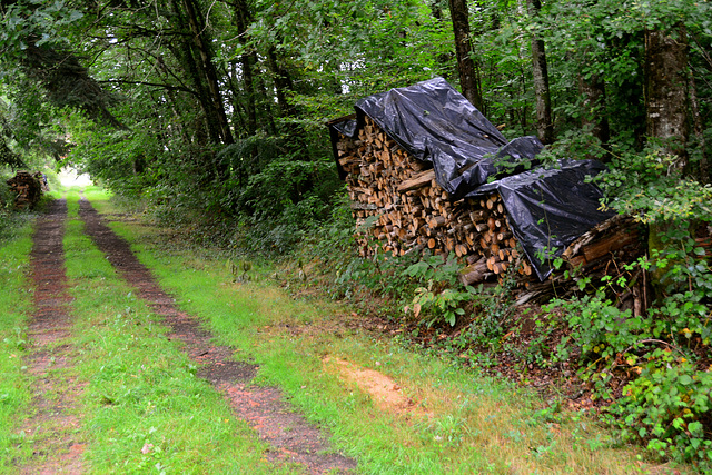 Laudonie 2014 – The Leaning Log Pile of Laudonie