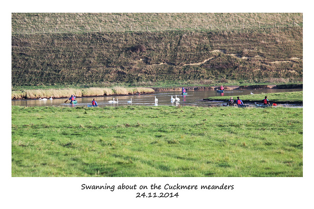 Swanning about on the Cuckmere - 24.11.2014