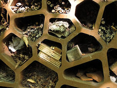 Insect House