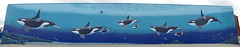 Orca Mural "Family" (1)