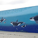 Orca Mural "Family" (2516)