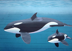 Orca Mural "Family" (2525)