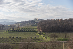 Franciacorta - Brescia