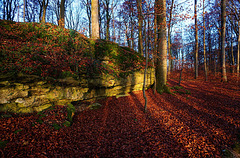 Sanspareil: lange Schatten im Felsengarten - Long Shadows in the Rock Garden