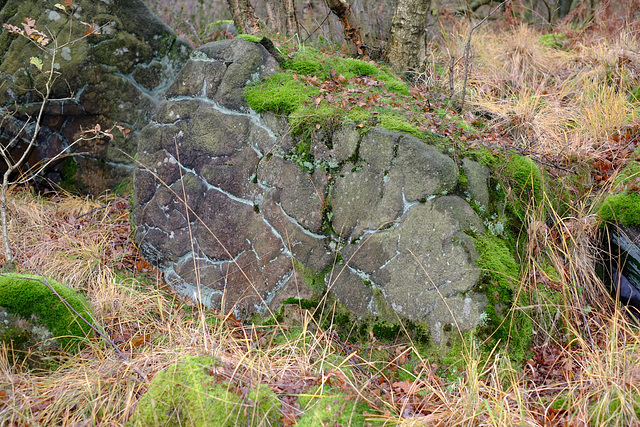 Wildboar Clough rock