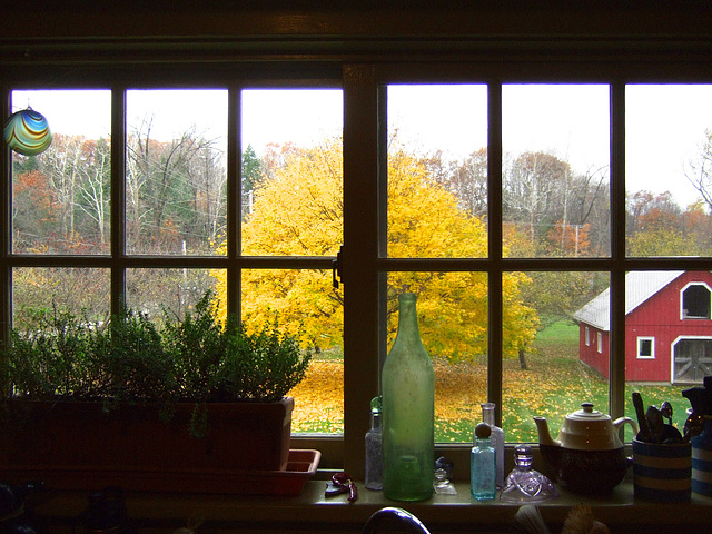 Kitchen Window...