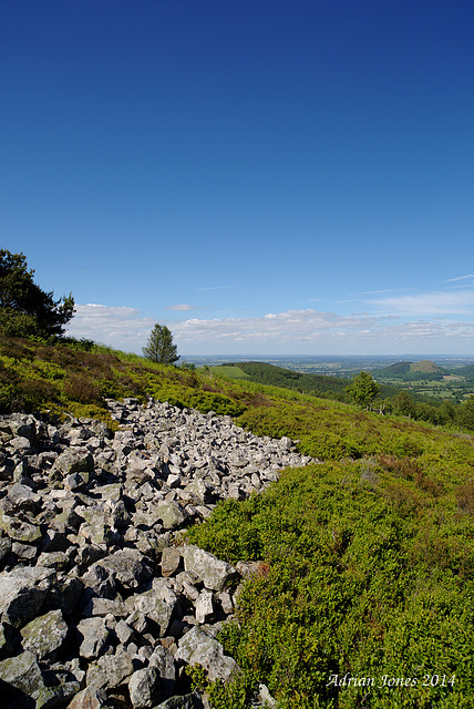 Shropshire Landscape.