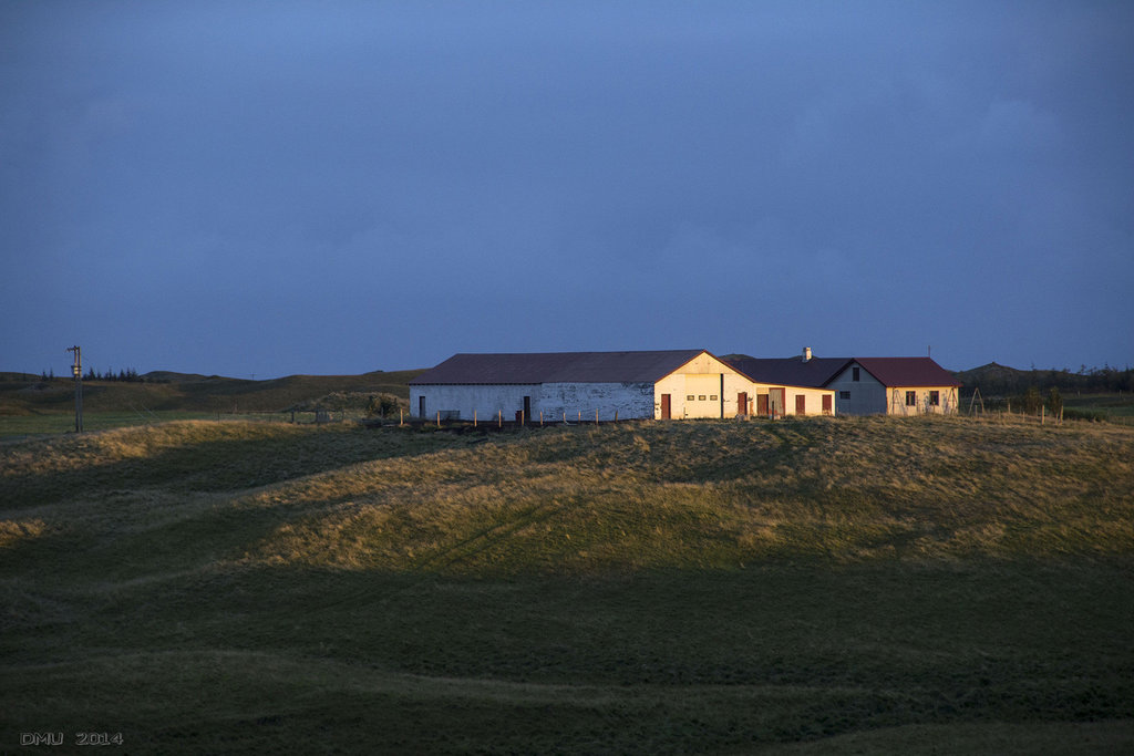 Icelandic Farm in the Sunset