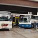 Bus Éireann PL79 (90 D 43687) (G815 RNC) and Ulsterbus 1600 (EAZ 2600) at Busáras in Dublin - 11 May 1996