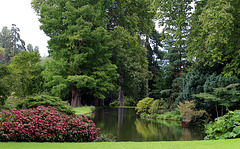 Arboretum de la Vallée-aux-Loups à Châtenay-Malabry
