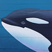 Orca mural detail (0475)