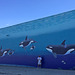 Orca Mural with John Coleman (0465)