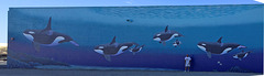 Orca Mural with John Coleman (0465A)