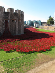 Tower & Poppies 1