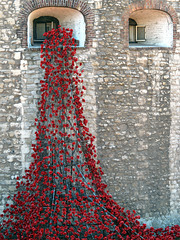 Tower & Poppies 2