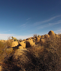 Jumbo Rocks Campground (155045)